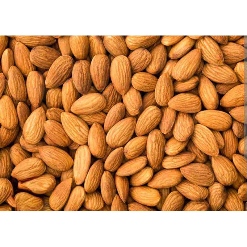Premium Quality Raw Almond Nuts (Kathbadam) - Fresh, Crunchy & 100% Natural Healthy Dry Fruits - High Protein & Fiber Rich Almonds for Snacks & Diet.