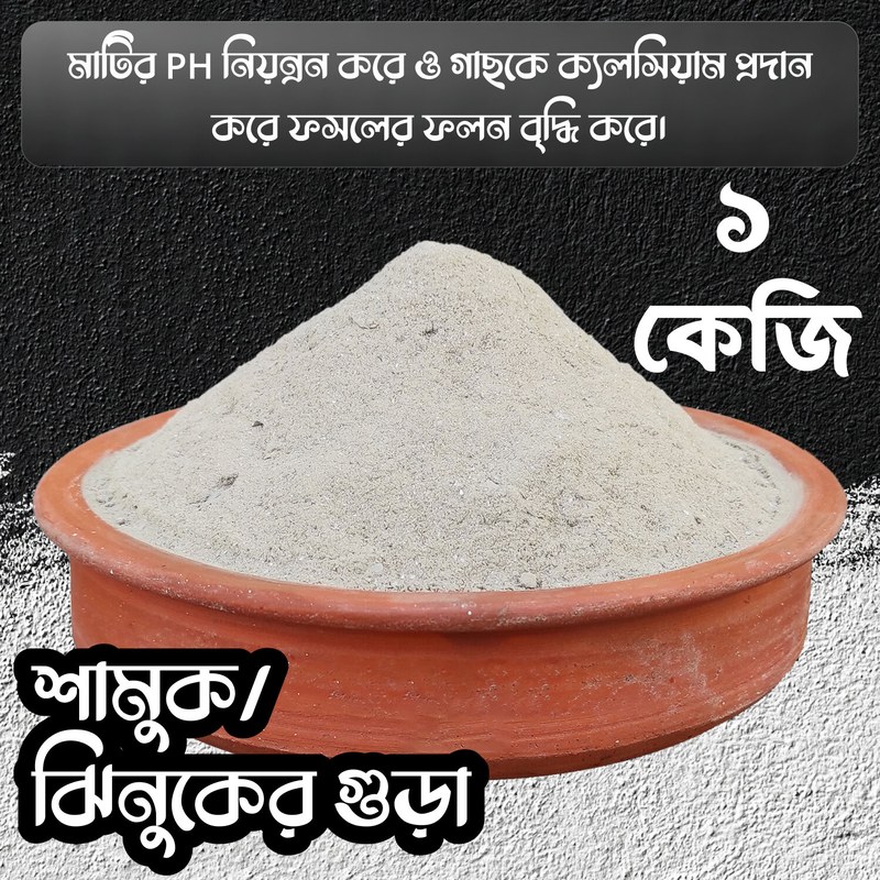 Oyster and Snail Powder (Jhinuk & Shamuk) 1 kg. Organic food for tree.