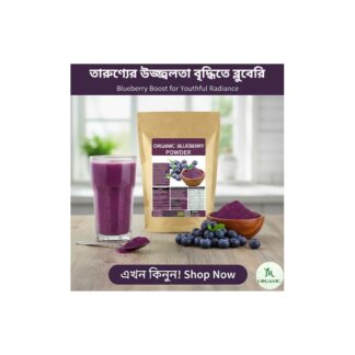 JR Blueberry Juice Powder/ Organic Blueberry Powder / Super Food Blueberry Powder