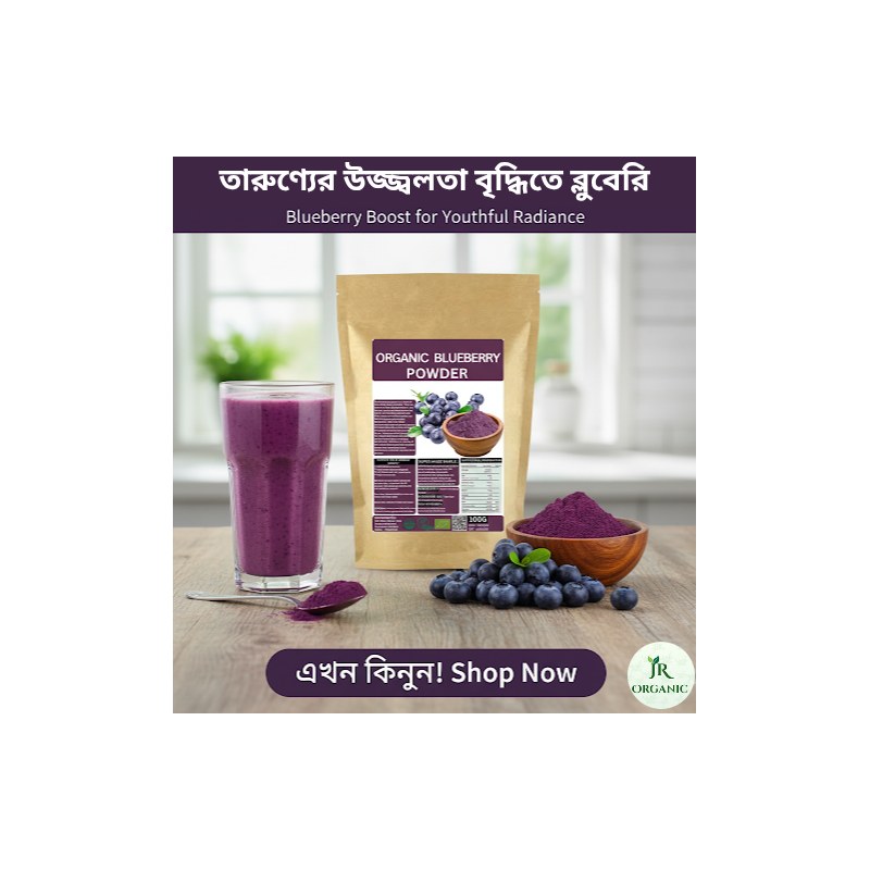 JR Blueberry Juice Powder/ Organic Blueberry Powder / Super Food Blueberry Powder