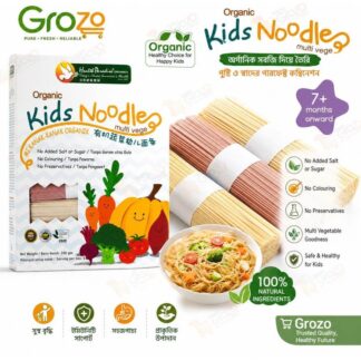 Organic Kids Multi Vegetable Noodles 240g | Baby Noodles 7+ Months | No Added Salt & Sugar | No Preservatives | Healthy Instant Kids Pasta | Nutritious Baby Food