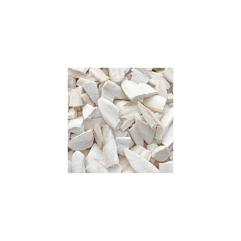 Cuttlefish Bone ( 50 GM) for Parakeets,Natural Parrot Calcium Supplements Bird Food Pick Stone(9-12cm)